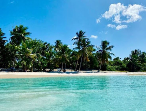 Clear, sunny day on Saona Island in Punta Cana