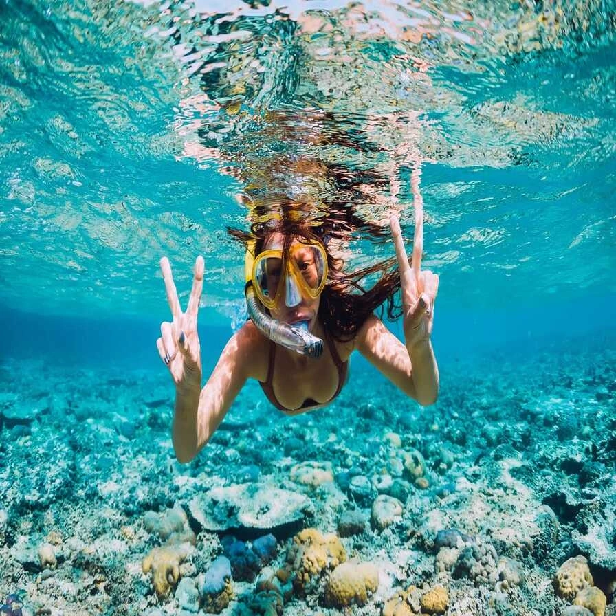 Snorkeling and Diving Excursions