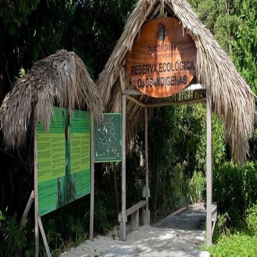 Visit to Indigenous Eyes Ecological Park