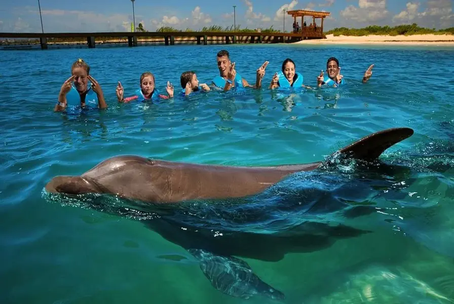 1. Swim with Dolphins at Delphinus Playa Mujeres