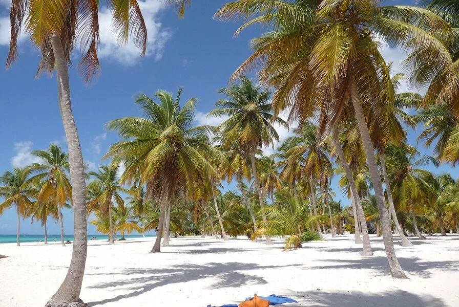 9. Bayahibe Beach