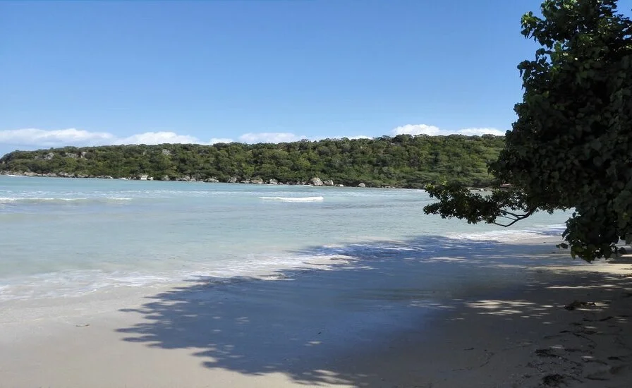 Playa Palenque