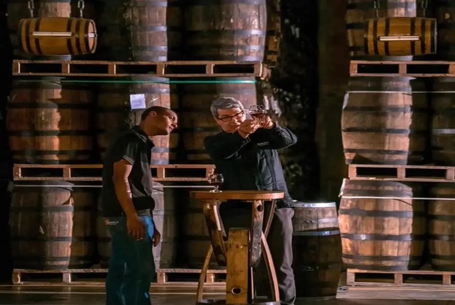 10. Ron Barcelo Rum Factory Tour