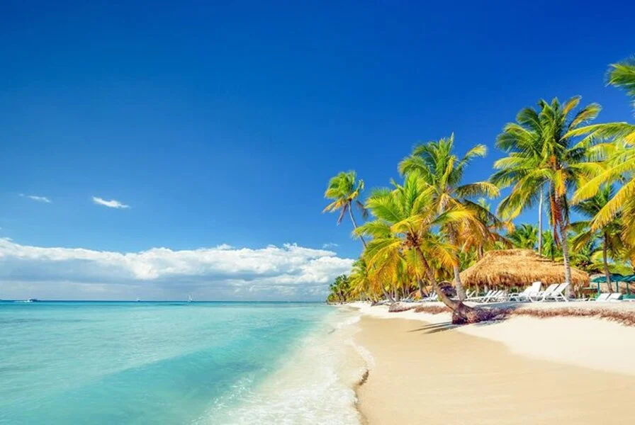 2. Saona Island Day Trip