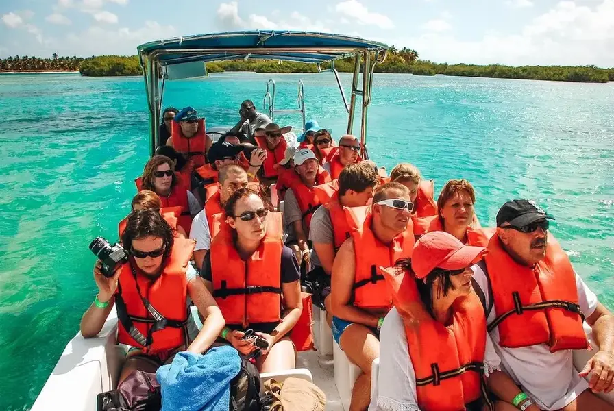 4. Small-Group Eco Tour