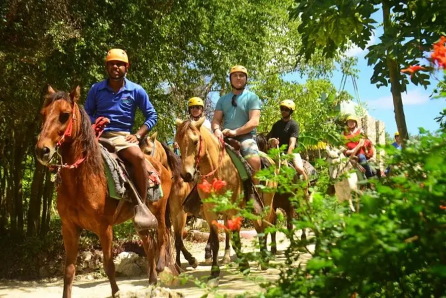 Horseback Riding Tour