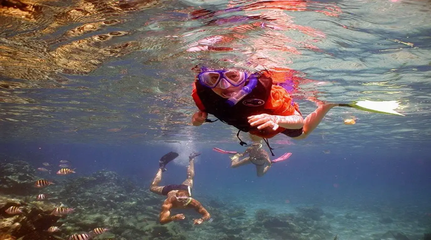 Snorkeling Saona Island Dominican Republic
