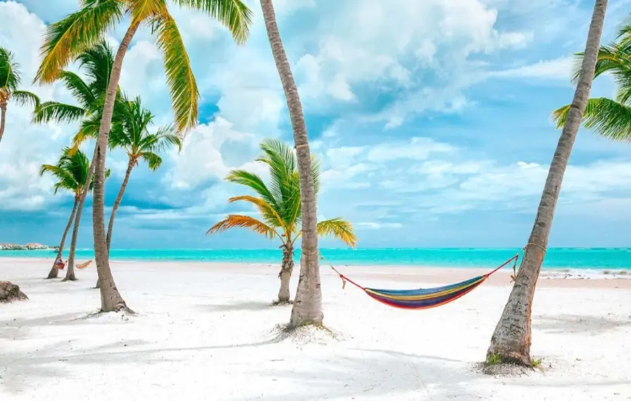 Step 1: Decide When to Visit Punta Cana