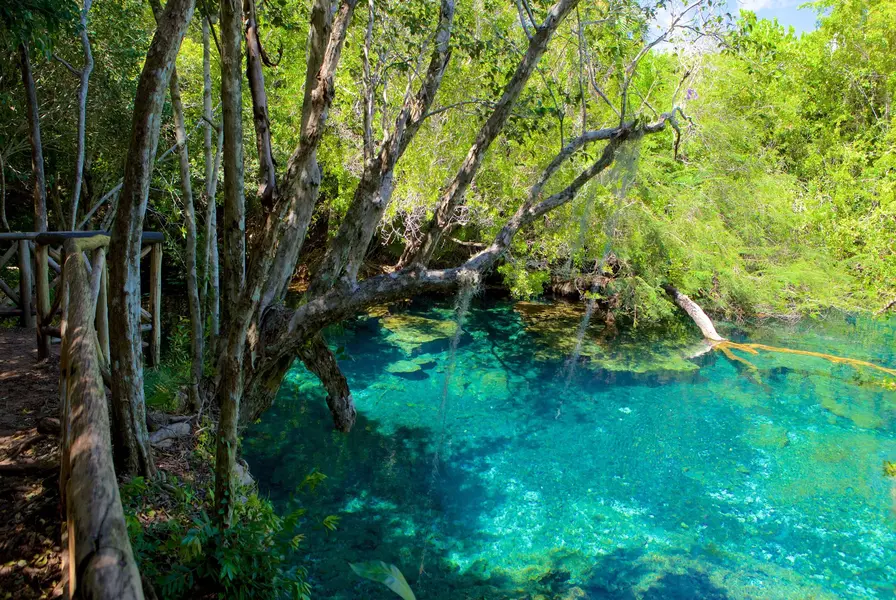 6. Explore Indigenous Eyes Ecological Reserve (Ojos Indígenas)