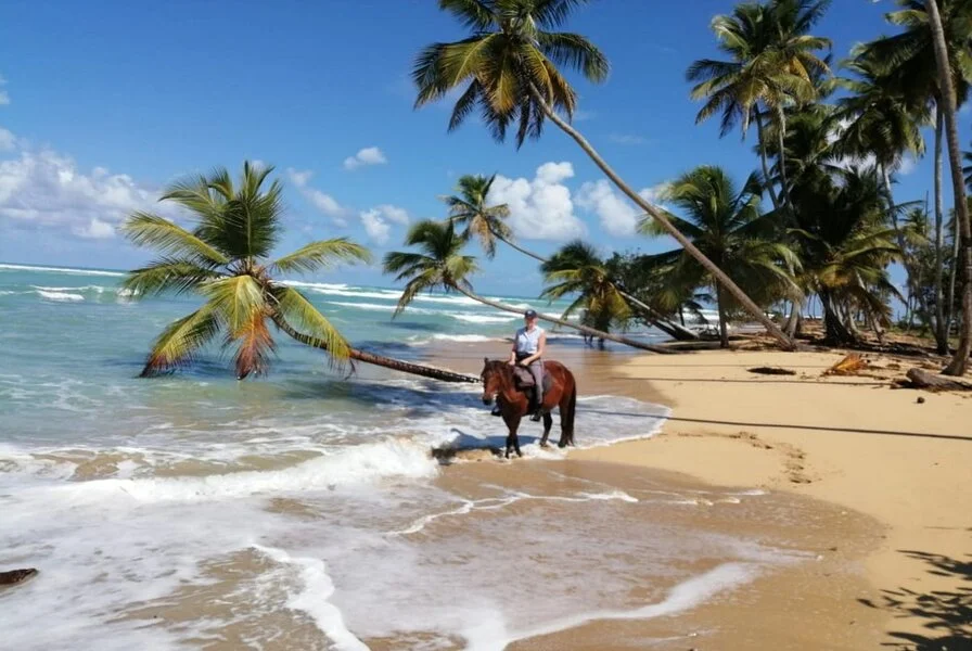 7. Discover Gabi’s Ranch