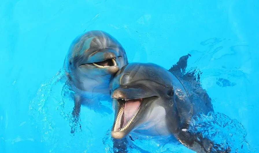 8. Exceptional Wildlife and Ecological Reserves