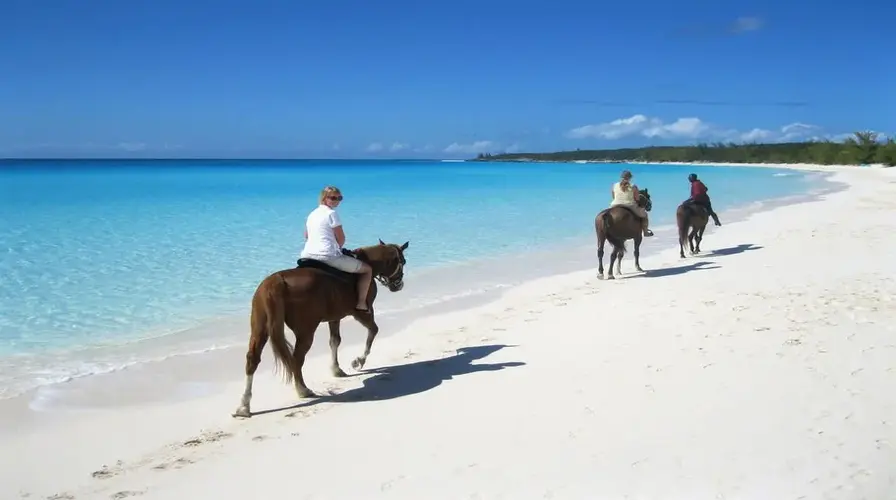 7. Horseback Riding and Buggy Tours for Nature Lovers