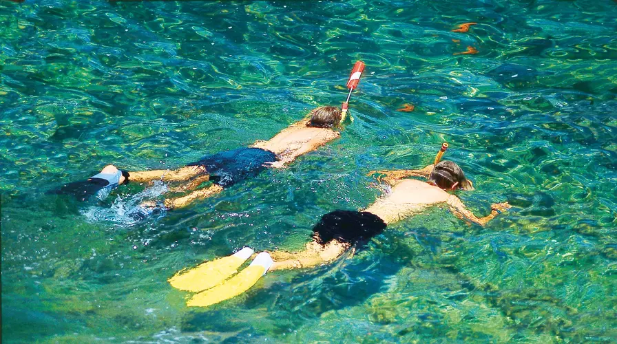 Catalina Island Snorkeling and Beach Excursion