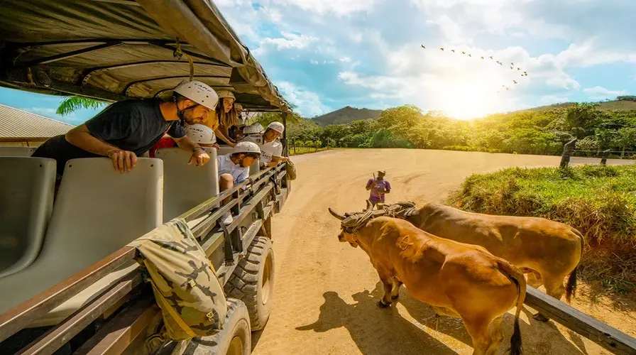 Cultural and Historical Tours