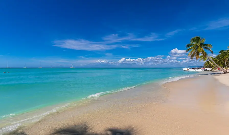Explore the Stunning Natural Beauty on Saona Island