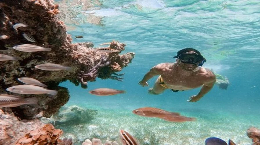 Marinarium Marine Park Snorkeling with Sharks and Stingrays