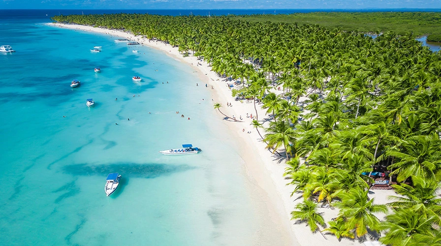Saona Island Tours