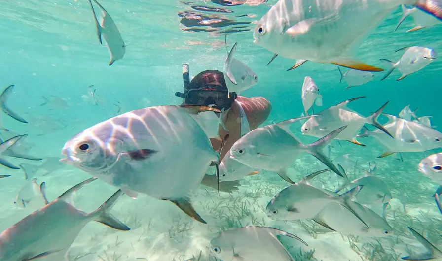 Unique Wildlife and Marine Experiences