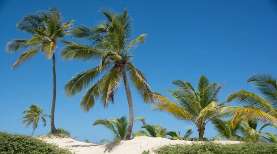 What Makes November Weather Unique in Punta Cana?