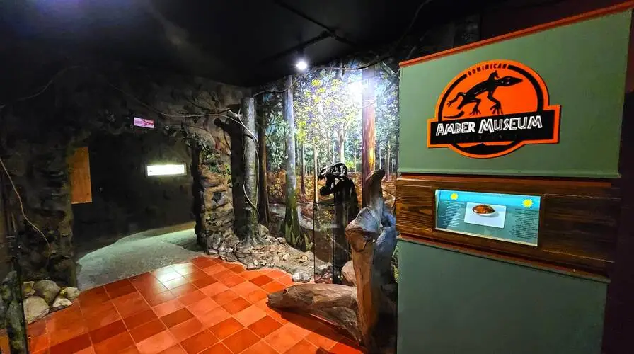 3. Amber Museum (Museo Del Ámbar)