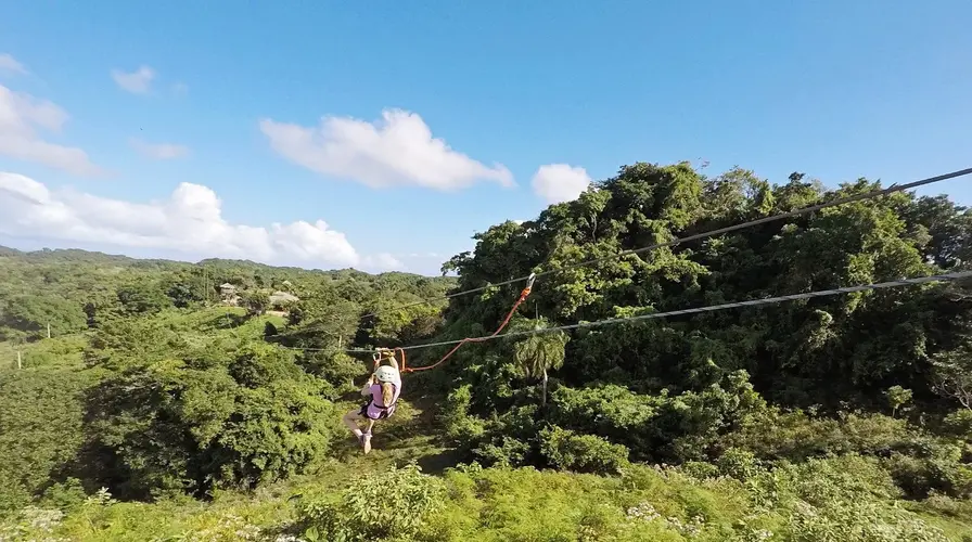 4. Monkey Jungle Zip-Line with Playful Primates - Top 10 Things to Do in Sosua