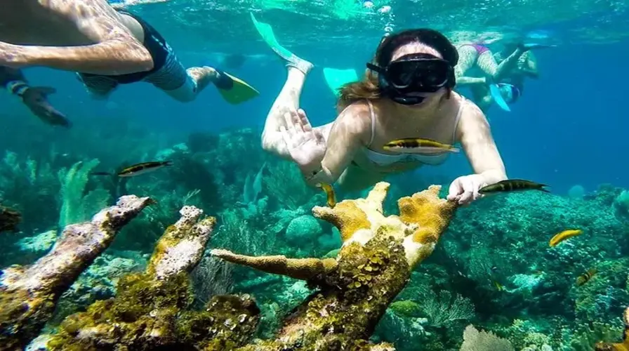 5. Cayo Arena (Paradise Island) Snorkeling and Beach Tour - The Top 15 Puerto Plata Excursions