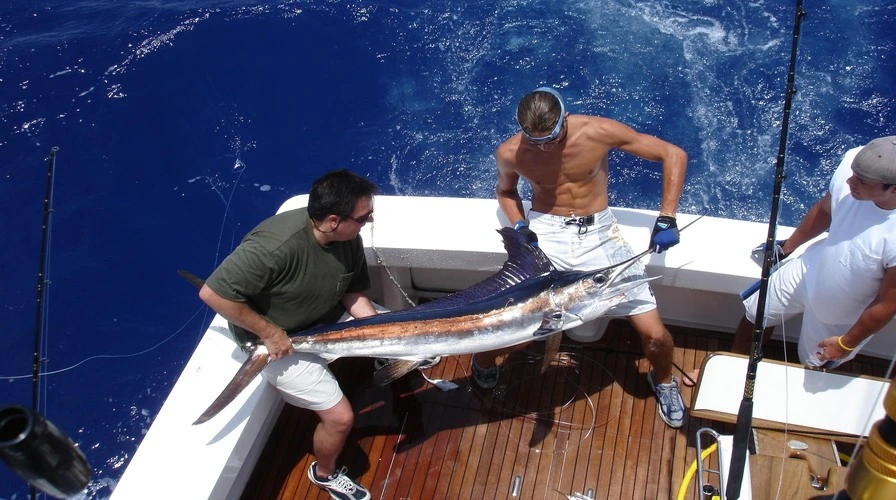 Deep-Sea Fishing - Best Things to Do in Puerto Plata in March
