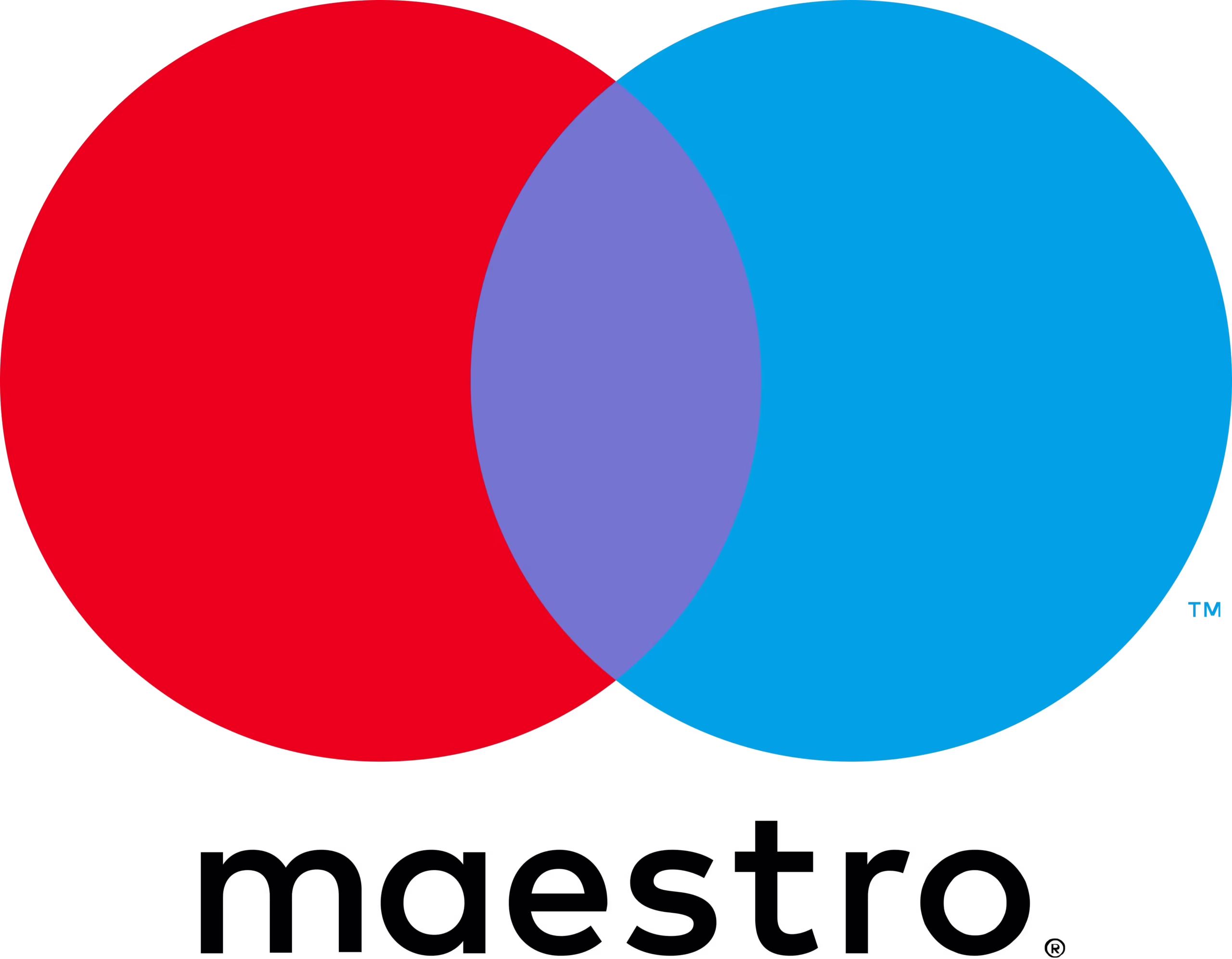 Maestro_2016.svg