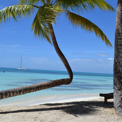 10 - Beautiful beach of Isla Saona & Palmilla on our private palmilla and isla saona catamaran tour