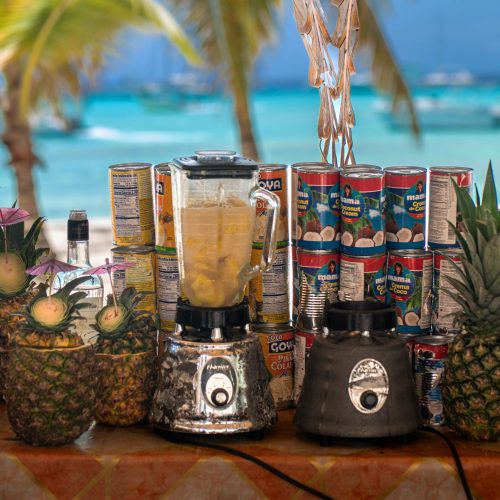 10 - Happy guests enjoy juices and drinks on our Isla Soana catamaran tour