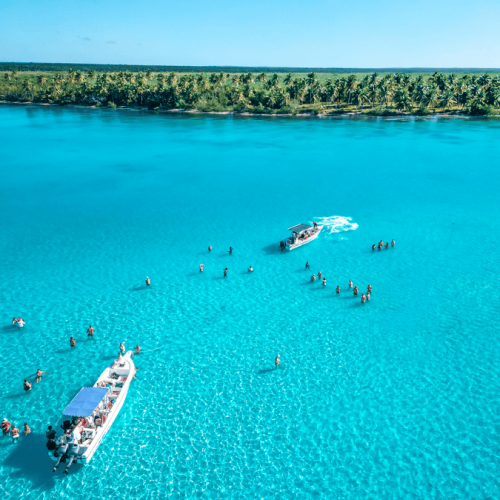 10 Isla Saona Sea and Wildlife