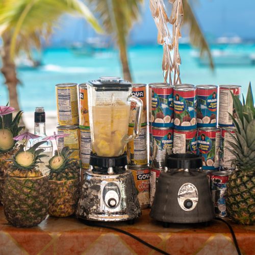 11 - Drinks and juices for our loving guests on our private yacht to Saona Island tour