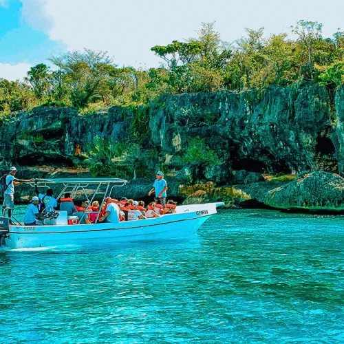 2 - Happy guest enjoying beautiful wildlive views while having alot of fun on our Isla Soana Wildlive tour