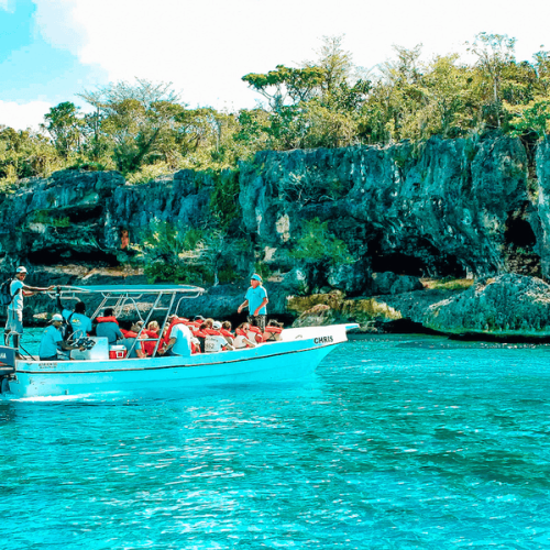 2 Isla Saona Sea and Wildlife
