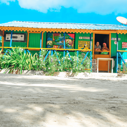 3 Isla Saona Sea and Wildlife