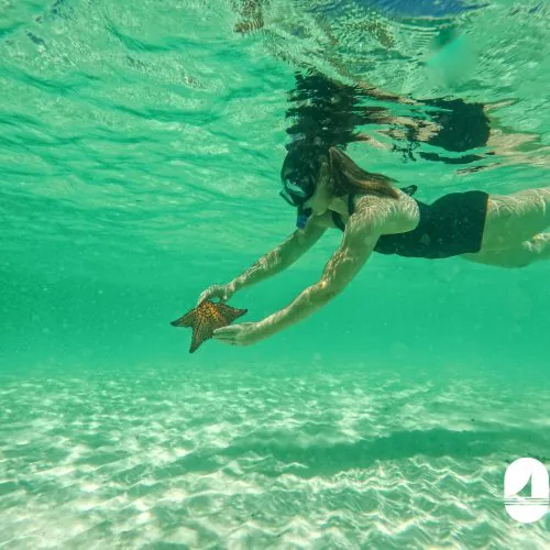 4 - Happy guest enjoy marine life of Punta Cana and having alot of fun on our catamaran Punta Cana isla saona tour