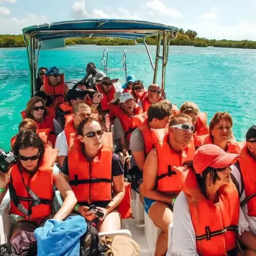 4. Small-Group Eco Tour