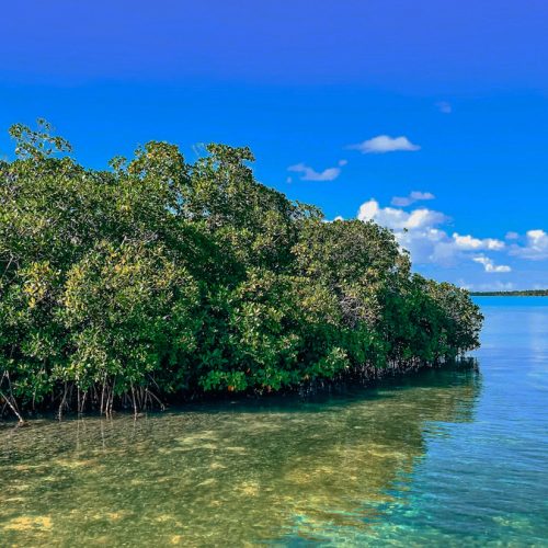 5 - Beautiful views of wildlive Isla Soana on our Isla Soana Wildlive tour