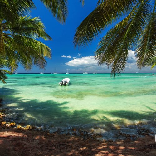 6 - Beautiful views of beach and wildlive in Isla Soana on our Isla Soana Wildlive tour