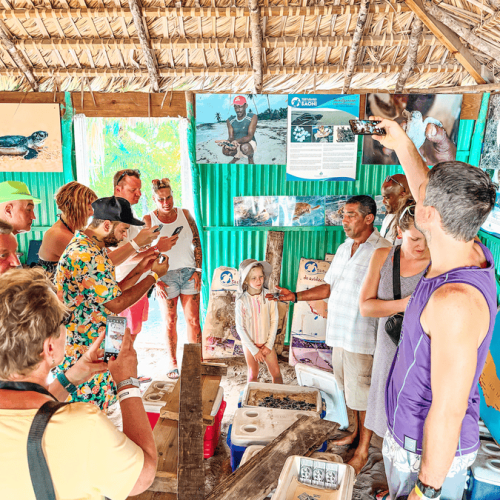 6 Isla Saona Sea and Wildlife