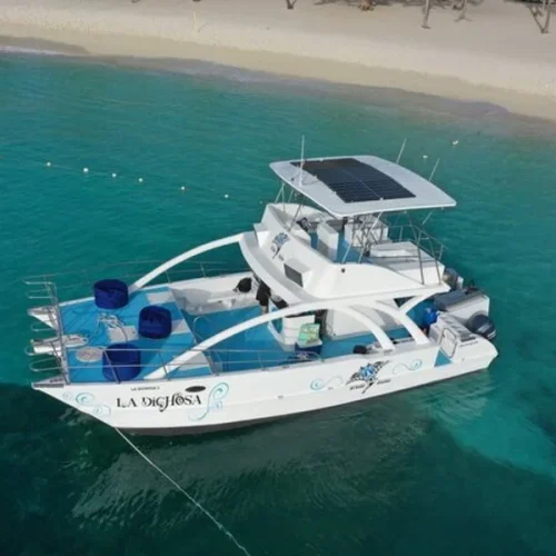 6. Breakers Private Isla Saona Charter