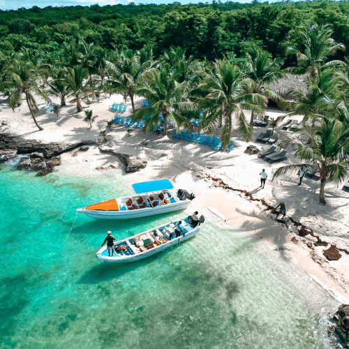 7 Isla Saona Sea and Wildlife