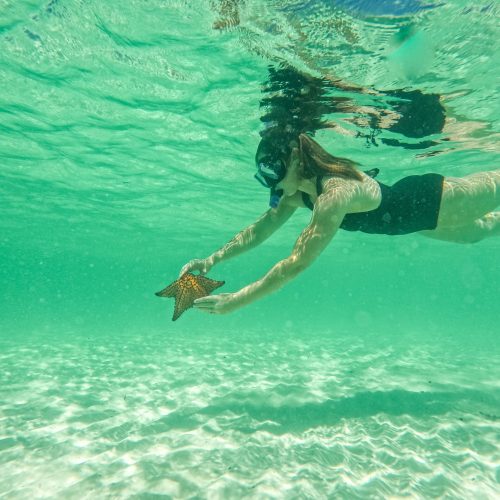 8 - Happy guest enjoy snorkeling in Isla Soana waters and having fun with starfash on our Isla Soana catamaran tour