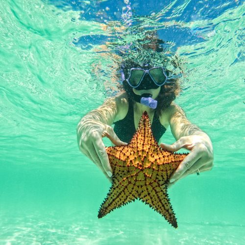 8 - Happy guests enjoy snorkeling and play with starfish in Isla Saona on our private yacht to Saona Island tour