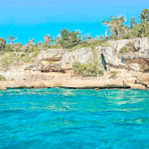 8 Isla Saona Sea and Wildlife