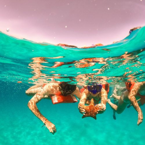 9Happy guest enjoy snorkeling while see beatufil marine life of Punta Cana on our private catamaran Delux for large group tour