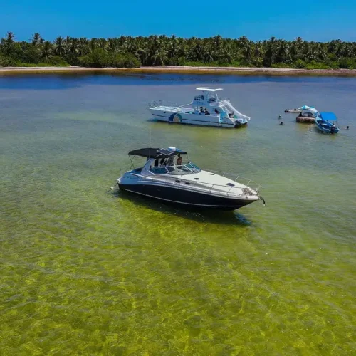 Bavaro beautiful view on Yacht Trips Bavaro