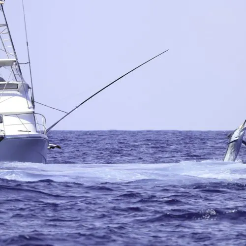 Guest enjoy our deep sea fishing tour Punta Cana