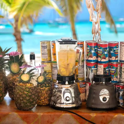 enjoy drinks on private isla saona catamaran tour