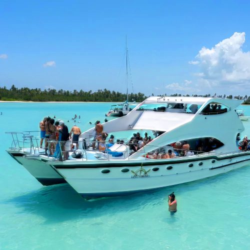 enjoy private catamaran on isla saona waters